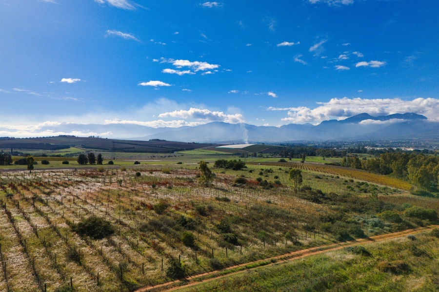 0 Bedroom Property for Sale in Windmeul Western Cape